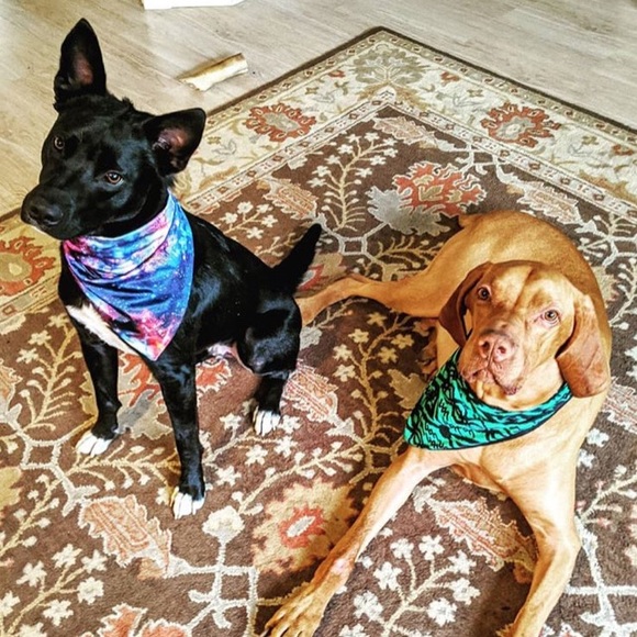 Hi! I’m Angie 🌺 - Picture 15 of 16